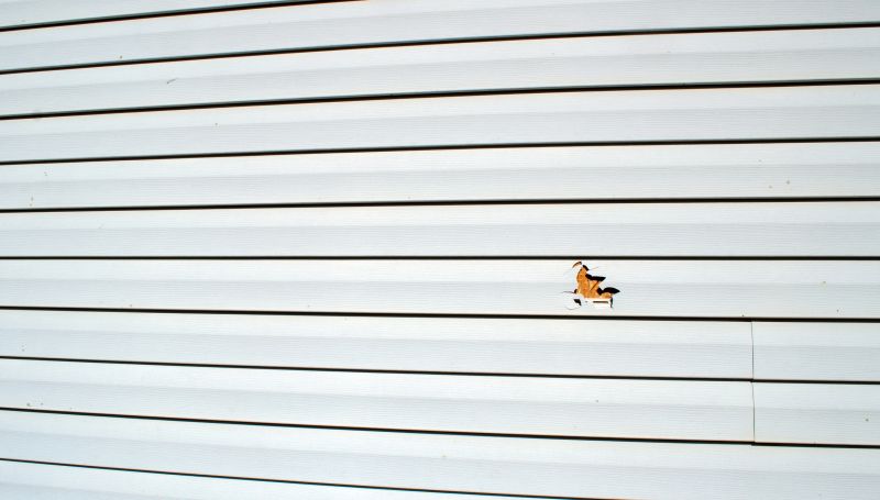 Vinyl Siding Fixing Process - Image 3